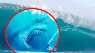 10 Megalodons Caught On Camera: Real or Fake?