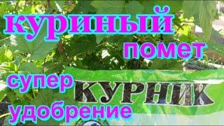 ЛУЧШЕ ЭКОЛОГИЧЕСКИ ЧИСТОЕ УДОБРЕНИЕ ИЗ ГРАНУЛИРОВАННОГО КУРИНОГО ПОМЕТА.КАК РАЗВЕСТИ И УДОБРИТЬ