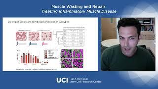 Muscle Wasting and Repair - Treating Inflammatory Muscle Disease?