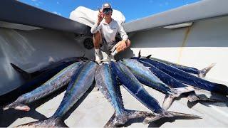 4 man WAHOO LIMIT in under 1 HOUR!!!