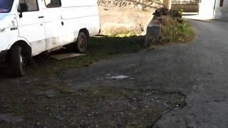 Drone malencontreux