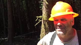 Logger interview #13 Kirk Price "Best job in the woods is tending hook"