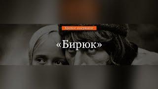 Краткое содержание - Бирюк