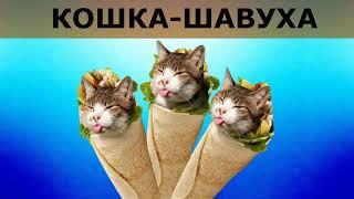 кошка шавуха (оригинальная версия)