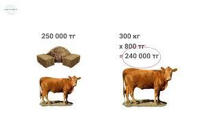 Преимущества мясного скотоводства. Часть 1