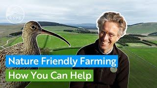 How you can help let the UK Government know we need nature-friendly farming