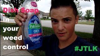 DIY Lawn Care Tips // How To Improve Your Weed Control // How to Kill Lawn Weeds FAST