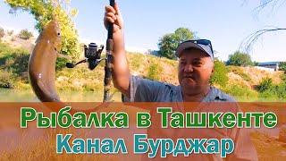 Рыбалка в Ташкенте - Канал Бурджар