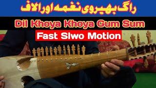 Dil Khoya Khoya Gum Sum In Rabab