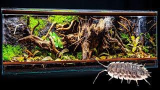 Isopod Tree Root Forest Vivarium with Easy Clay Background