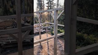 EP 2 cabin build teaser stay tuned for the upload in the next couple weeks #cabin #logging #offgrid