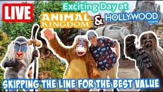 Live: Multi Pass Day at Animal Kingdom, Hollywood Studios & Magic Kingdom - Disney World Livestream