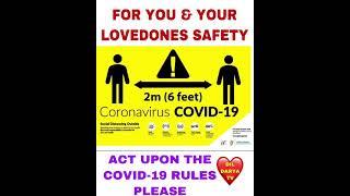 CHRISTMAS COVID -19 SAFETY PRECAUTIONS(DIL DARYA TV)