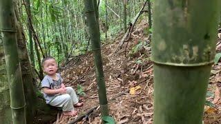 7 days: Careless single mother lost her 20-month-old child in the forest