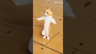 جنه  قومي قومي ق سليلي هدومي