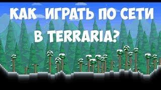 Как играть с другом в террарию c хамачи на пиратке??? - ВЫХОД ЕСТЬ!!!