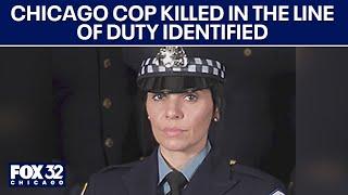 Everything we know about the Chicago police officer killed in the line of duty