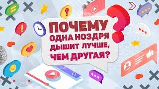 ПОЧЕМУ ОДНА НОЗДРЯ ДЫШИТ ЛУЧШЕ, ЧЕМ ДРУГАЯ? ХВАТИТ И МИНУТЫ!