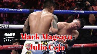 Mark Magsayo contra Julio Ceja KNOCKOUT HIGHLIGHTS