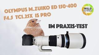 Olympus M.Zuiko 150-400 F4.5 TC1.25x PRO - Meine Meinung dazu