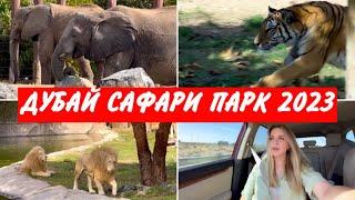 ДУБАЙ САФАРИ ПАРК / ВСЁ ЧТО НУЖНО ЗНАТЬ / SAFARI PARK DUBAI #сафарипарк #дубай