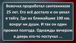 Сантехник Вовочка Уехал в Тайгу! Сборник Анекдотов Синего Предела №183