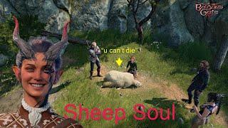 Baldur's Gate 3: What happens if you turn Edowin to Sheep?