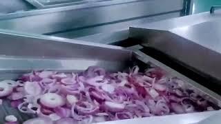 onion rings processing line