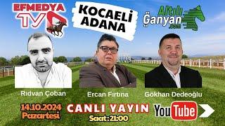 15.10.2024 Salı Adana ve Kocaeli At Yarışları Altılı Ganyan Tahminleri