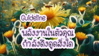 Guildlineพลังงานในตัวคุณกำลังดึงดูดสิ่งใด🩵🩵