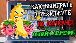 Как выиграть в Резиденте на Вулкане! Онлайн обучение