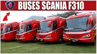 Transportes Línea es Scania: Entrega de 12 buses F310 | Minería