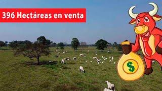  Rancho en VENTA en REFORMA, CHIAPAS  Rancho produciendo , cerca de Villahermosa