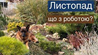 До чого тягнуться руки в кінці листопада Магія Рослин