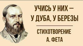 «Учись у них - у дуба, у березы» А. Фет. Анализ стихотворения