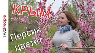 Крым сегодня 2021 Крым стоит ли переезжать Пляжи, подготовка к сезону 2021 Весна в Крыму