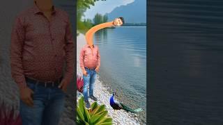 Artificial #peacock water transport to rescue drought special effects #funny #shorts #comedy