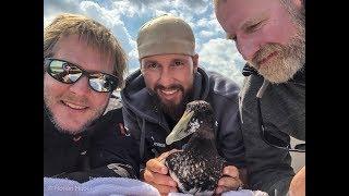 Enten-Rettung aus Geisternetz in der Ostsee mit Meeresbiologe Robert Marc Lehmann