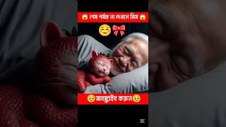 Dad Cat saved his Family from Thieve#cat #catsoftiktok#shortsfeed#trendingshorts#viralshorts 77