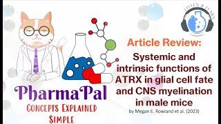 Systemic and intrinsic functions of ATRX in glial cell fate and CNS myelination in male mice  011724