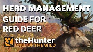 Ultimate Herd Management Guide for Red Deer Great One Grind on the Hunter Call of the Wild