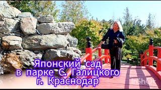 ЯПОНСКИЙ САД В ПАРКЕ ГАЛИЦКОГО. КРАСНОДАР. #паркгалицкого #японскийсад #парккраснодар