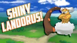 INCREDIBLY FAST LANDO! Live Shiny Landorus Reaction Shiny #062 Pokemon Ultra Sun