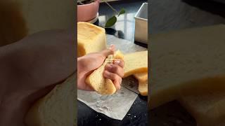 5 ingredient homemade sandwich bread
