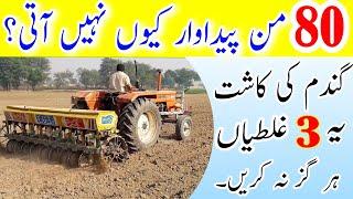 Wheat cultivation complete guide | Wheat farming in India and Pakistan