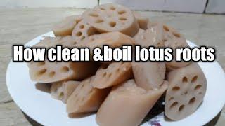 How to clean & boil |Lotus root | Sindhi beeh | By Sindh Food Recipes