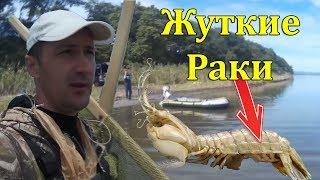 Рыбалка на рака богомола в море. Самые жуткие и страшные раки!