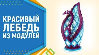 Модульное оригами лебедь. Modular origami Swan. Лебедь оригами. часть 1