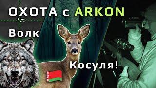 Охота на волка в Республике Беларусь. Добыли косулю.