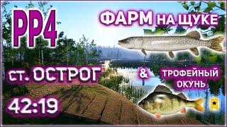 РР4 СТАРЫЙ ОСТРОГ ФАРМ НА ЩУКЕ / РУССКАЯ РЫБАЛКА 4 ОСТРОГ ЩУКА ФАРМ / RF4 OLD BURG PIKE